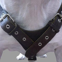 6 lbs Genuine Leather Weighted Pulling Dog Harness for Exercise and Train Fits 28"-35" Chest Brown
