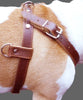 Genuine Brown Leather Dog Pulling Walking Harness Large. 30"-34" Chest 1" Wide Straps, Padded