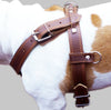 Genuine Brown Leather Dog Pulling Walking Harness XLarge. 33"-37" Chest 1.5" Wide Straps, Padded
