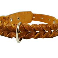 Genuine Leather Braided Dog Collar 11"-14" Neck, 7/8" Wide, Brown