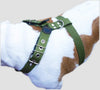 Cotton Web Dog Harness Large. Fits Girth 31"-36". 1.5" Wide Straps, Rottweiler, Doberman, Cane Corso