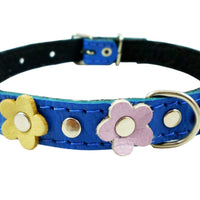 Genuine Leather Designer Dog Collar Daisy Studs. 11.5" x1/2" Wide. Fits 8"-10" Neck Poodle, Puppies