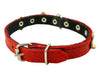 Genuine Leather Designer Dog Collar Daisy Studs 11.5" x1/2" Wide Fits 8"-10" Neck Yorkshire, Puppies