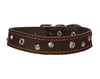 Genuine Leather Studded Dog Collar, Brown, 1" Wide. Fits 13"-17.5" Neck Size
