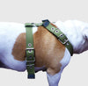 Cotton Web Dog Harness Large. Fits Girth 31"-36". 1.5" Wide Straps, Rottweiler, Doberman, Cane Corso