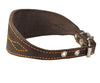 Brown Real Leather Tapered Extra Wide Whippet Dog Collar 2" Wide, Fits 11.5"-15" Neck, Medium