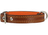 Genuine Leather Dog Collar Padded Brown 3 Sizes