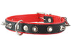 Dogs My love Spiked Genuine Leather Dog Collar Padded Black/Red