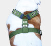 Cotton Web Dog Harness Large. Fits Girth 29"-34.5". 1.5" Wide Straps, Rottweiler, Doberman, Boxer