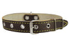 Real Leather Dog Collar 11"-15" Neck Size, 3/4" Wide, Medium Breeds