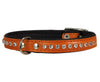 Dogs My Love Rhinestone Genuine Leather Dog Collar Orange