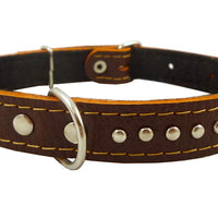 Genuine Leather Studded Padded Dog Collar 15"x5/8" Wide Fits 10"-13" Neck Poodle, Maltese, Puppies
