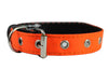 Double Thick Nylon Dog Collar Leather Enforced Metal Buckle Sized to Fit 11"-14" Neck, 1" Wide.