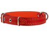 Genuine Leather Dog Collar Padded Red 3 Sizes