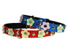 Genuine Leather Designer Dog Collar Daisy Studs. 11.5" x1/2" Wide. Fits 8"-10" Neck Poodle, Puppies