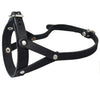 Adjustable Leather Loop Bite Bark Control Easy Fit Dog Muzzle Black. Fits 10.5"-12.5" Snout.