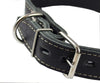 Genuine Leather Spiked Dog Collar 1.5" Wide Sized to Fit 18"-22.5" Neck Boxer, Bulldog, Rottweiler