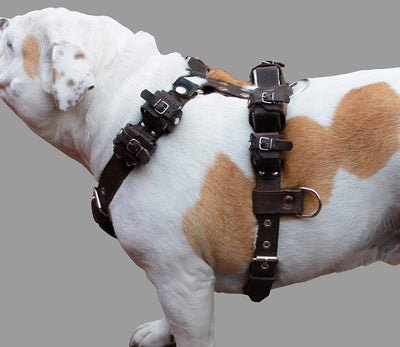 10 Lbs Brown Genuine Leather Weighted Pulling Dog Harness Exercise and Training Fits 35