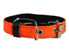 Double Thick Nylon Dog Collar Leather Enforced Metal Buckle Sized to Fit 11"-14" Neck, 1" Wide.