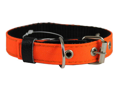 Double Thick Nylon Dog Collar Leather Enforced Metal Buckle Sized to Fit 11