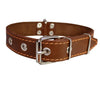 Genuine Leather Dog Collar 1.25"x22" Fits 15"-20" Neck, Brown