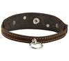 Genuine Leather Two Buckles Dog Collar 9.5"-12.5" Neck for Small Breeds and Puppies Brown