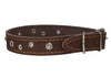 Genuine Leather Studded Dog Collar, Brown, 1" Wide. Fits 13"-17.5" Neck Size