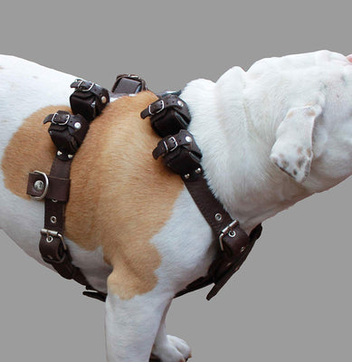 6 lbs Genuine Leather Weighted Pulling Dog Harness for Exercise and Train Fits 28