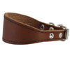 Brown Real Leather Tapered Dog Collar 1,5" Wide, Fits 8.5"-10.5" Neck, Small, Dachshund