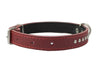 Genuine Leather Studded Padded Dog Collar 15"x5/8" Wide Fits 10"-13" Neck, Pomeranian, Chihuahua