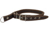 Martingale Genuine Brown Double Ply Leather Dog Collar Choker Medium to Large Fits 17.5"-21" Neck.