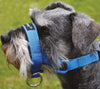 Dog Head Collar Halter Blue 5 Sizes