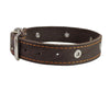 Genuine Leather Studded Dog Collar, Brown, 1.25" Wide. Fits 15"-18.5" Neck. Amstaff