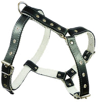 Genuine Leather Dog Harness Padded, Fits 17" - 21" Chest, Poodle, Boston Terrier