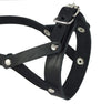 Adjustable Leather Loop Bite Bark Control Easy Fit Dog Muzzle Black. Fits 10.5"-12.5" Snout.
