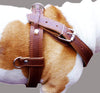 Genuine Brown Leather Dog Pulling Walking Harness XLarge. 33"-37" Chest 1.5" Wide Straps, Padded