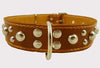 Genuine 1.6" Wide Leather Studded Dog Collar Tan Fits 19"-24" Neck Large Breeds Cane Corso, Bulldog