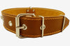 Genuine 1.6" Wide Leather Studded Dog Collar Tan Fits 19"-24" Neck Large Breeds Cane Corso, Bulldog
