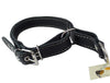 Martingale Genuine Black Double Ply Leather Dog Collar Choker Medium to Large Fits 17.5"-21" Neck.