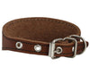 Brown Real Leather Tapered Dog Collar 1,5" Wide, Fits 8.5"-10.5" Neck, Small, Dachshund