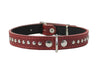 Genuine Leather Studded Padded Dog Collar 15"x5/8" Wide Fits 10"-13" Neck, Pomeranian, Chihuahua