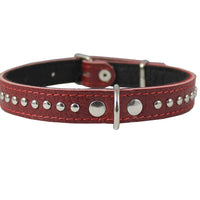 Genuine Leather Studded Padded Dog Collar 15"x5/8" Wide Fits 10"-13" Neck, Pomeranian, Chihuahua