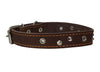 Genuine Leather Studded Dog Collar, Brown, 1" Wide. Fits 13"-17.5" Neck Size
