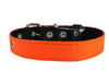 Double Thick Nylon Dog Collar Leather Enforced Metal Buckle Sized to Fit 11"-14" Neck, 1" Wide.