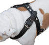 Genuine Black Leather Dog Pulling Walking Harness XLarge 33"-37" Chest 1.5" Wide Straps, Padded
