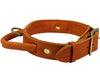 Genuine Leather Dog Collar, Rolled Leather Handle Tan