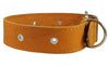 Genuine Leather Studded Dog Collar Tan 1.75" Wide. Fits 18.5"-22" Neck. For Large Breeds