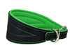 Real Leather Extra Wide Padded Tapered Dog Collar Glossy Black Saluki Deerhound Whippet Green