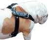 Genuine Black Leather Dog Pulling Walking Harness XLarge 33"-37" Chest 1.5" Wide Straps, Padded