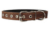 Genuine Leather Dog Collar, Cotton Padded, 1" Wide.